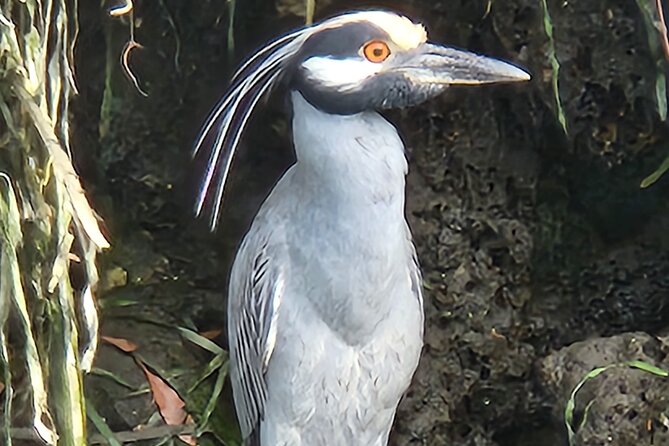 Private Crystal River Wildlife Boat Tour - Group Size