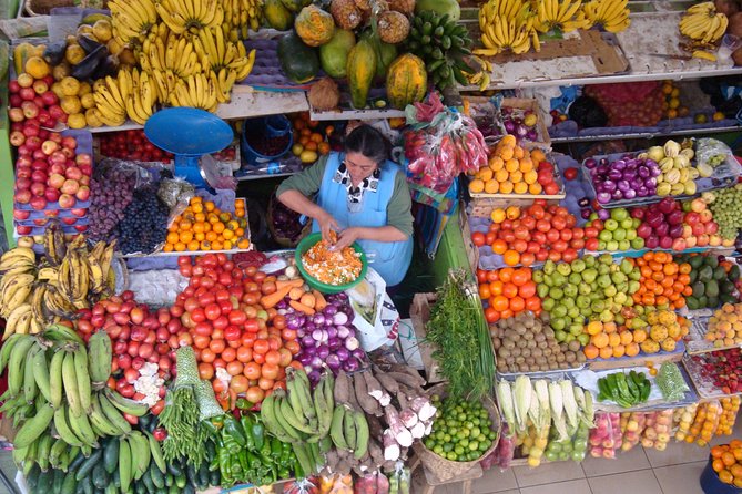 Private Cuenca City Half Day Tour - Key Points