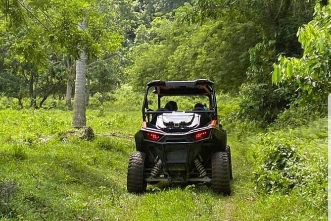 Private Cultural 3-Hour Safari Tour in an ATV From Montego Bay - Booking Your Stay