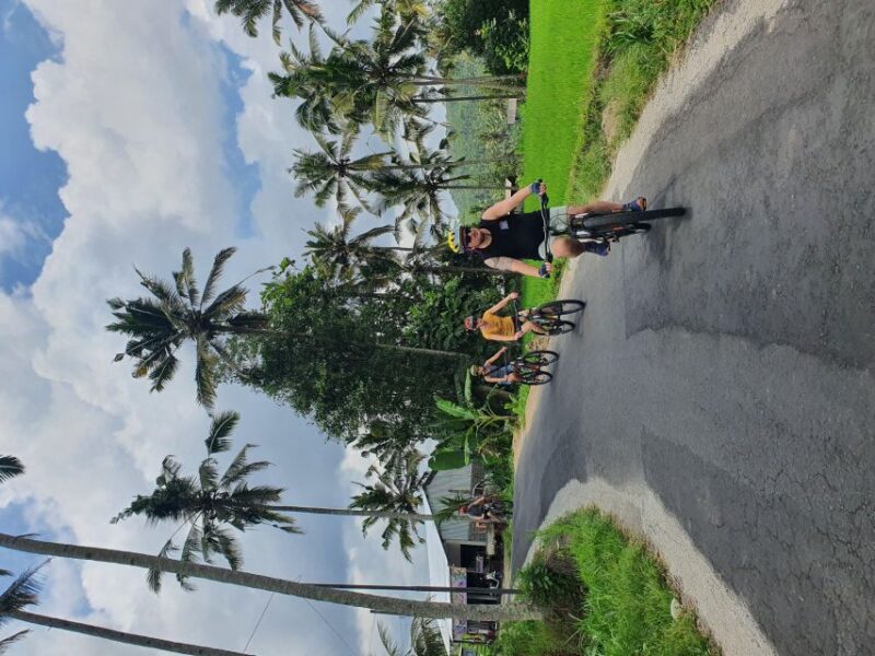 Private Cultural Cycling Tours - Key Points