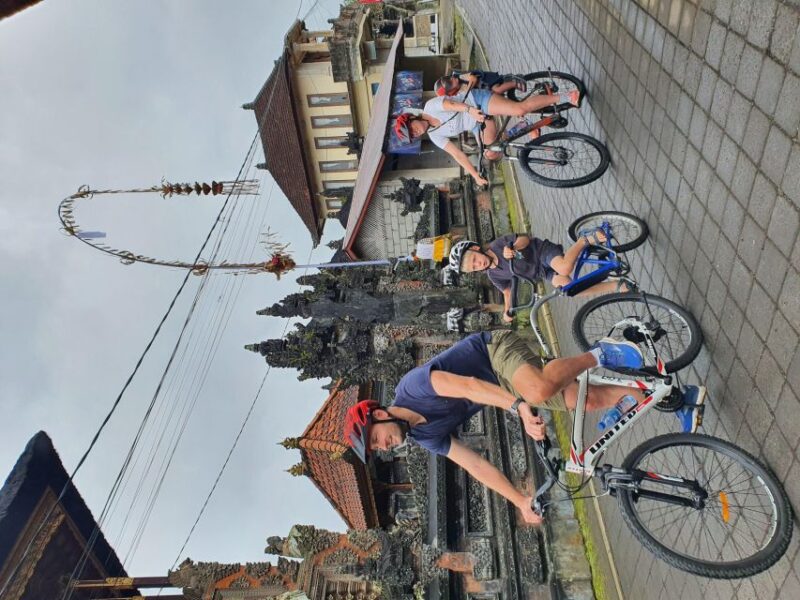 Private Cultural Cycling Tours - Experience Highlights