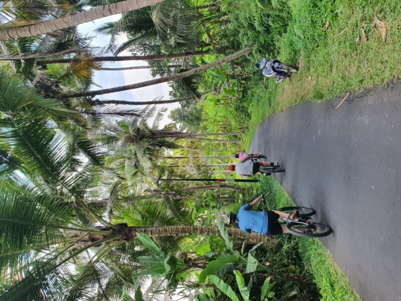 Private Cultural Cycling Tours - Pickup and Drop-off