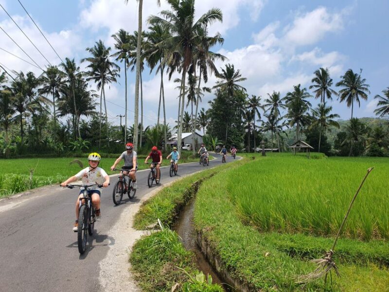 Private Cultural Cycling Tours - Reserve Now and Pay Later