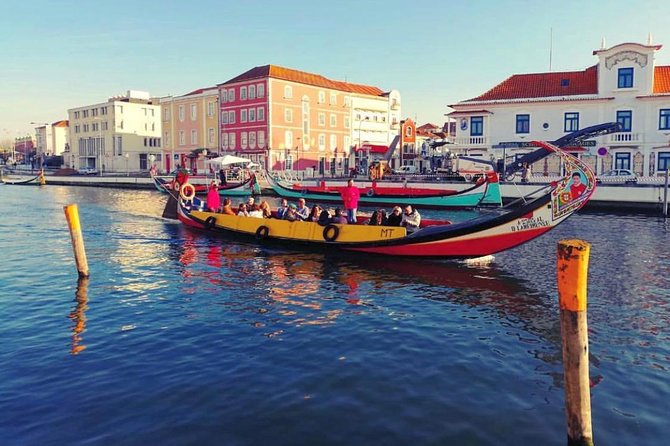 Private Cultural Tour Aveiro and Coimbra From Porto - Discovering Coimbra