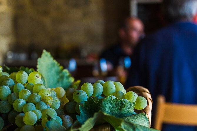 Private Culture and Wine Tourism Tour - Savor Local Wines