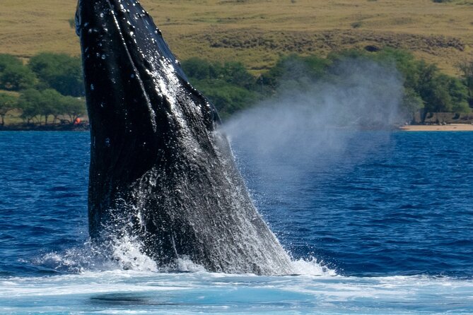 Private Custom Charter in Kawaihae - Additional Information