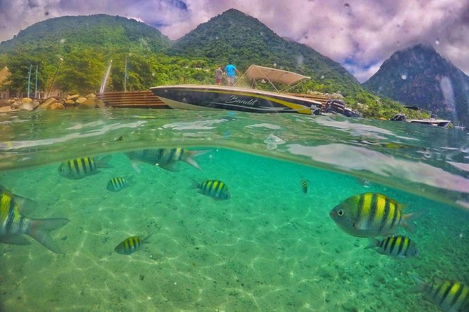 Private Custom Coastal Cruise St. Lucia Half Day - Pricing and Group Size