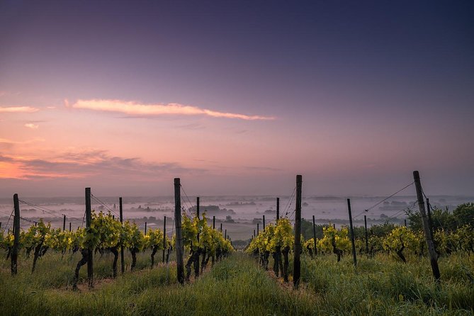 Private Custom Niagara Falls,Canada Winery Tour From Niagara Falls, NY - Booking and Pickup Information