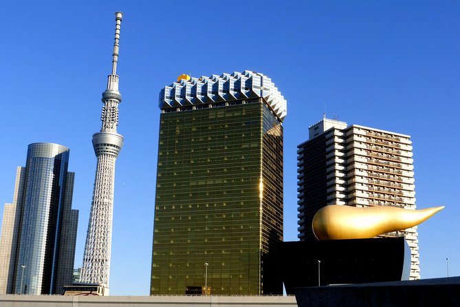 Private Custom Tokyo Tour VIP - Customizable Itineraries and Flexibility
