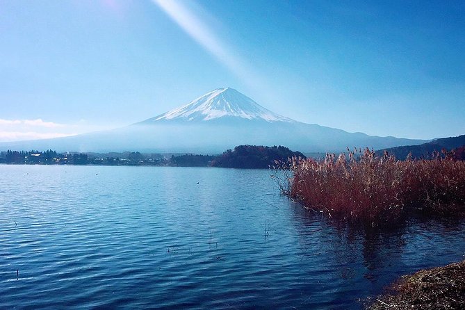 Private Custom Tokyo Tour VIP - Transportation and Accessibility