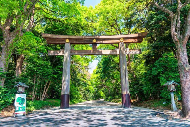 Private Custom Tokyo Tour With a Tokyo Resident Pro Guide by Car - Accessibility and Participation