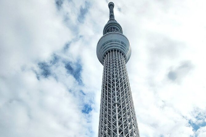 Private Custom Tokyo Tour With a Tokyo Resident Pro Guide by Car - Exploring Tokyos Highlights