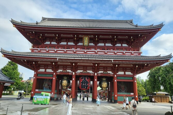 Private Custom Tokyo Tour With a Tokyo Resident Pro Guide by Car - Customizing Your Tour Experience