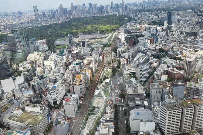 Private Custom Tokyo Tour With a Tokyo Resident Pro Guide by Car - Preparing for Your Private Tokyo Tour