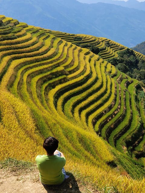 Private Custom Tour: 2 Day Longji Rice Terraces Private Tour - Booking and Availability