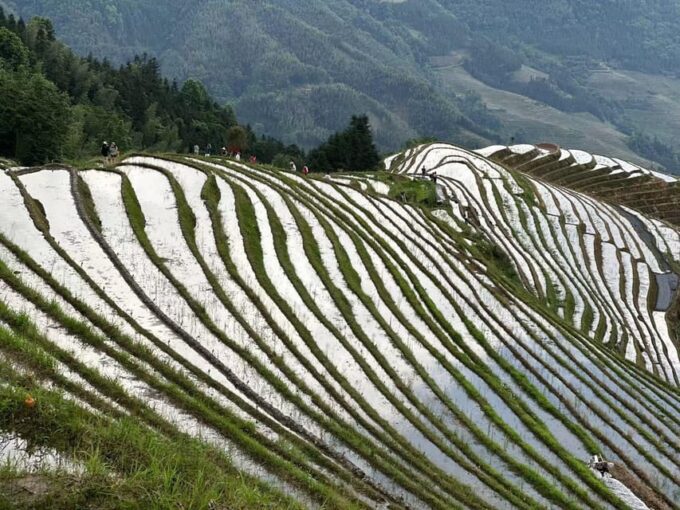 Private Custom Tour: 2 Day Longji Rice Terraces Private Tour - Participant Selection