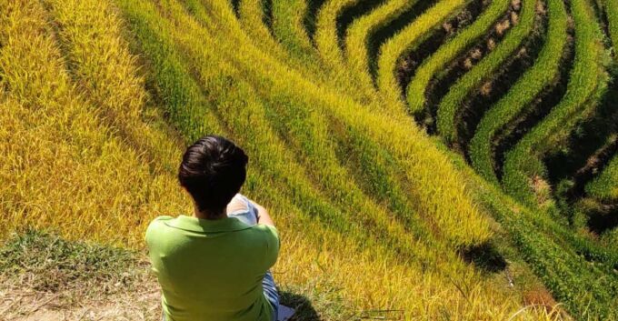 Private Custom Tour: 2 Day Longji Rice Terraces Private Tour - Recommended for Visitors