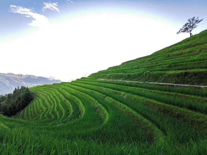 Private Custom Tour: 2 Day Longji Rice Terraces Private Tour - Frequently Asked Questions