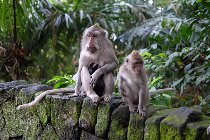 Private Custom Tour: Bali in a Day - Customizable Itinerary