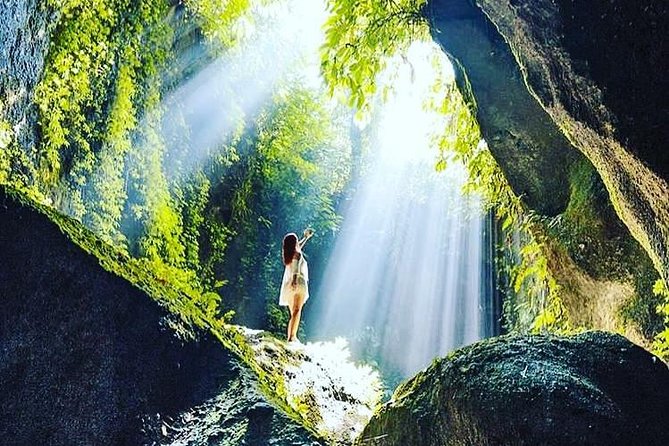 Private Custom Tour: Bali in a Day - Requirements and Accessibility