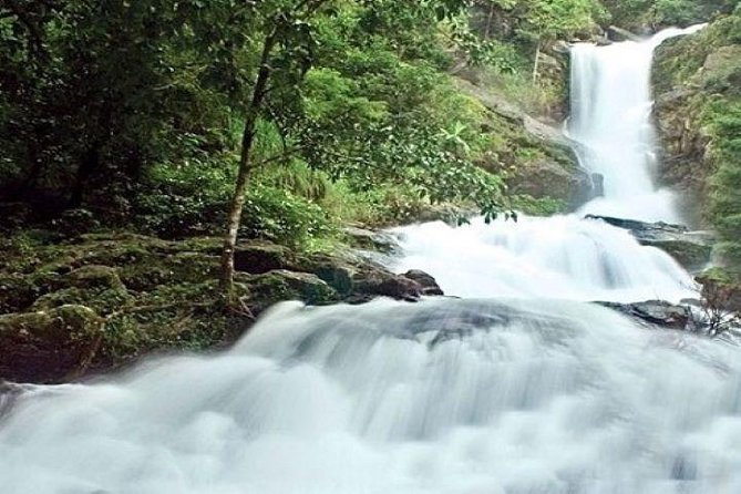 Private Custom Tour: Coorg Sightseeing With Guide in an Air-Conditioned Vehicle - Inclusions and Highlights