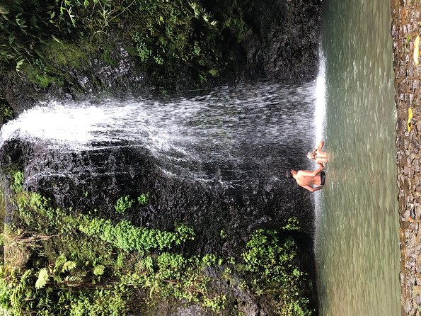 Private Custom Tour of Martinique - Customer Feedback