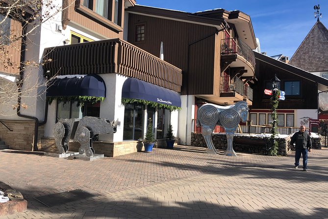 Private Custom Tour of the Foothills of Denver, Dillon and Breckenridge. - Cancellation and Payment