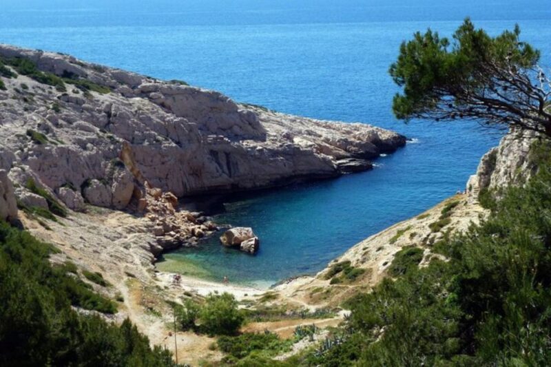 Private Custom Tour With a Local Guide Marseilles - Transportation and Accessibility