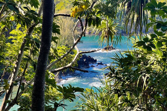 Private Custom Van Full-Day Guided Tour on Big Island of Hawaii - Visiting Volcanoes
