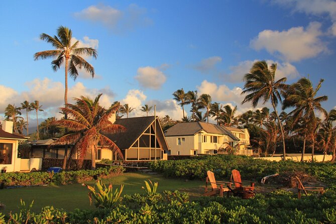 Private Custom Walking Tour With a Local Guide in Oahu - Customization Options