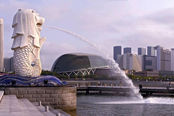 Private Customised Singapore Airport Layover Tour By Car - Reviews
