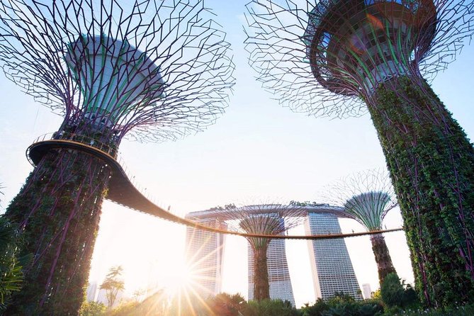 Private Customised Singapore Walking Tour - Inclusions and Exclusions
