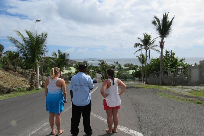 Private Customizable Island Sightseeing Tour in St Maarten - Climate-Controlled Transport
