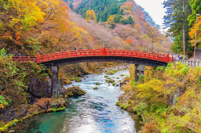 Private Customizable Nikko Full-Day Tour With English Driver - Important Considerations