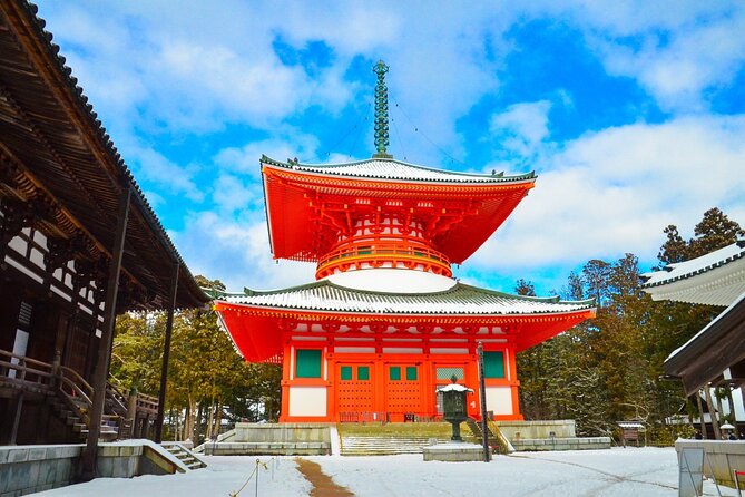 Private Customizable Tour in Wakayama - Vehicle Capacity Options