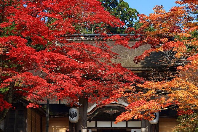 Private Customizable Tour in Wakayama - Customizable Tour Experience