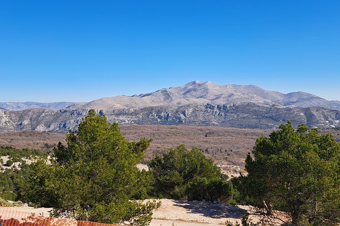 Private Customizable Tour of Croatia via Minivan With a Guide - Key Points