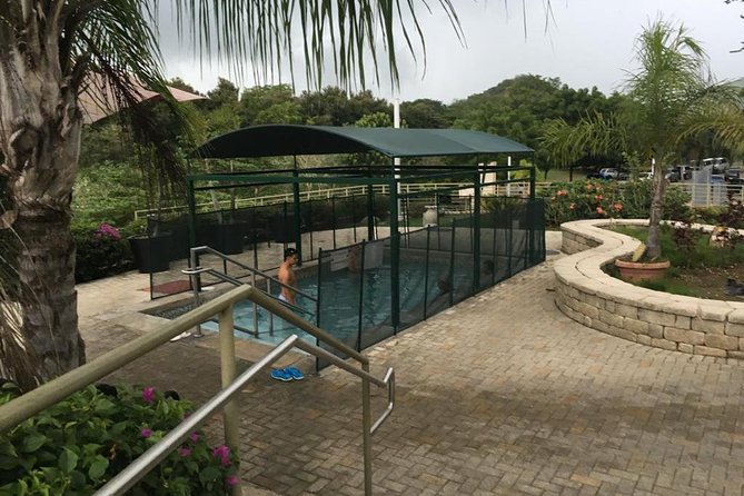 Private Customizable Tour of Puerto Rico - What to Expect