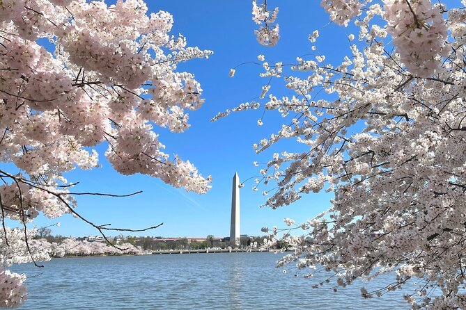Private & Customizable Tour of Washington DC - Exploring Iconic Landmarks