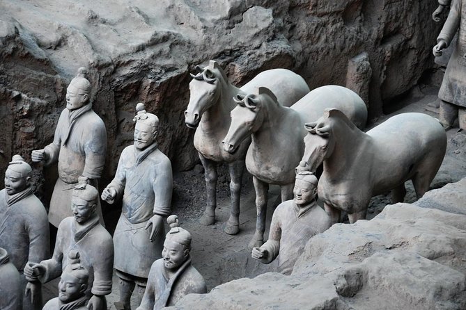 Private Customized Day Tour of Xian Terracotta Warriors and Horses Museum With Sightseeing Option - Accessibility and Customization