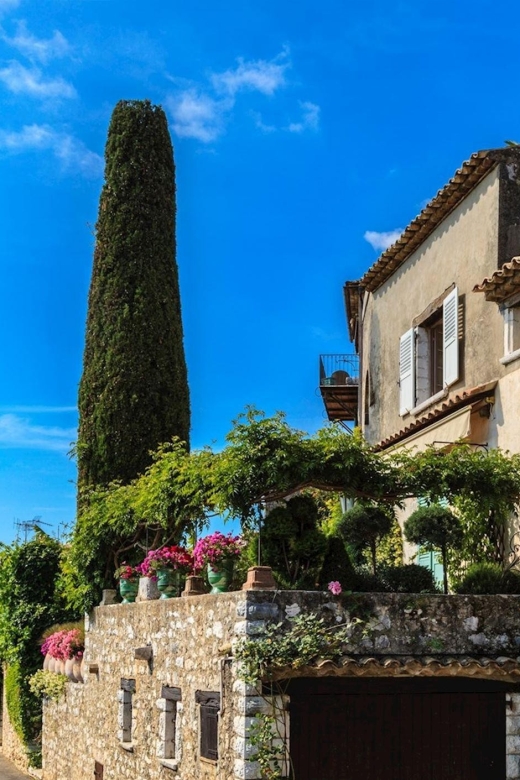 Private Customized French Riviera Tour From Port Villefranch - Exploring the Cathedral and Palace