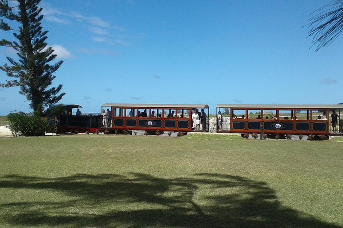 Private Customized Island Tour of Barbados - Traveler Experiences and Feedback