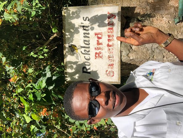 Private & Customized Montego Bay Highlight Tour From Montego Bay - Customer Feedback and Recommendations