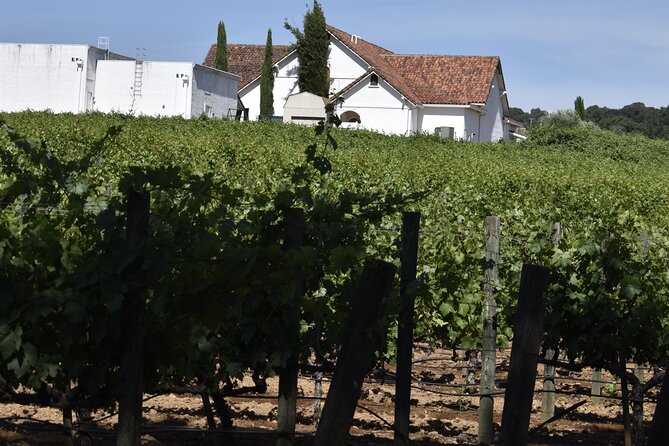 Private, Customized Napa Valley Wine Tasting Tour 10 Passenger - Booking and Availability