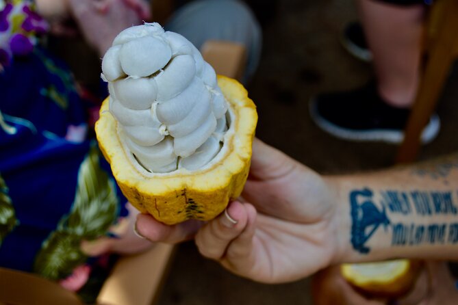 Private Customized Oahu Full Day Tour - Accessibility and Participation