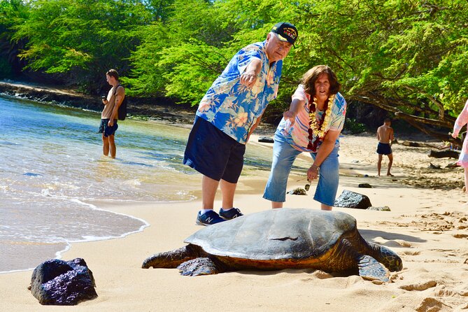 Private Customized Oahu Full Day Tour - Customizable Itinerary