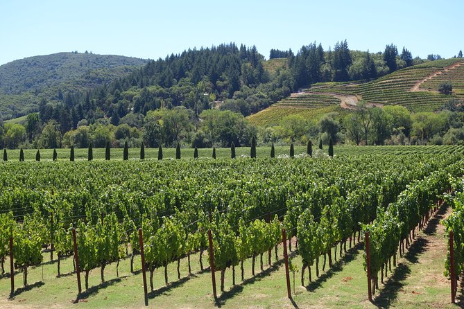 Private, Customized Sonoma Valley Wine Tour - Curating the Perfect Wine Tour