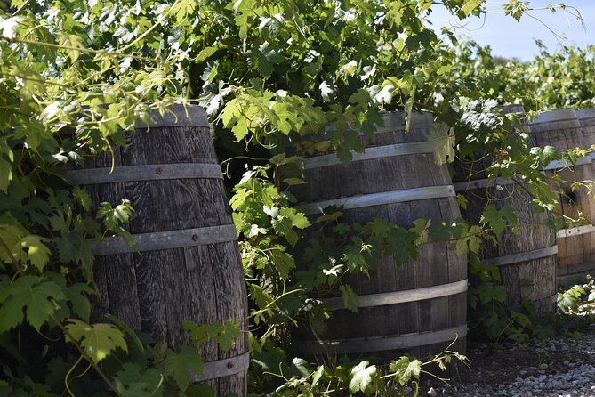 Private, Customized Sonoma Valley Wine Tour - Frequently Asked Questions