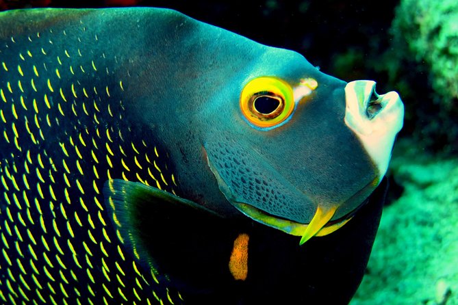 Private Customized South Island Tour and Snorkel Combo - Positive Guest Experiences