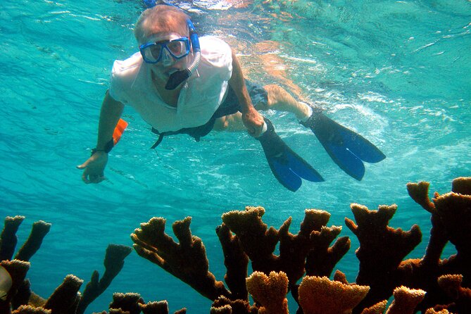 Private Customized South Island Tour and Snorkel Combo - Snorkeling Highlights